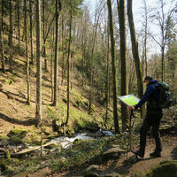 Auf dem Albsteig.