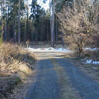 am Forstweg Richtung L5042