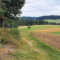 Downhill vom Kammererkreuz