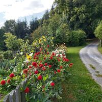 Bauerngarten in St. Kathrein/Offenegg_Naturpark Almenland_Oststeiermark