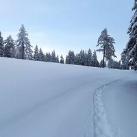 im schnee auf die packeralpe_img_22031512