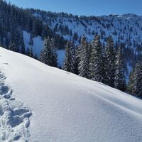 Skitour von Alpbach auf den Schatzberg
