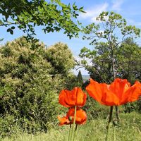 Botanischer Garten am Col de Saverve