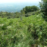 Weg CAI 986 - Aussicht von oben