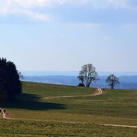 Am Weg nach Haidertal, unten der Weg von Schönberg