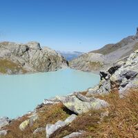 Wildsee