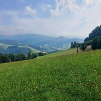 Rückweg