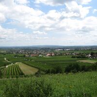 Baden - Bad Vöslau