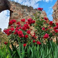 Burg in der Stadt Kalbe (Milde)