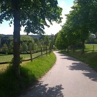 Im Wiesengrund