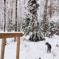 Joutsijärven Naturpfad