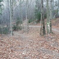 17.7 km Links auf steinigen Trail zur Ruine