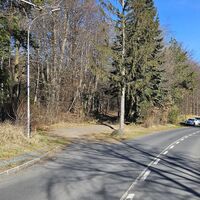 31.4 km Links auf Waldpfad zur Schlossstraße