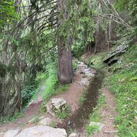 Trämel - Geimen