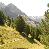Sentiero Anello Cima Bosco