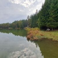 beim Felixer Weiher/Lago di Tret