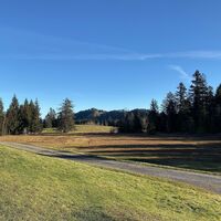 Auf dem Weg vom Bödele Richtung Brüggelekopf