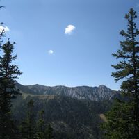 Hinternaßwald - Grenzriegel - Amaißbichl