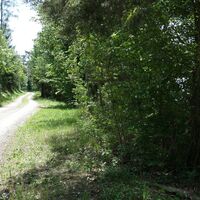 Aufstieg Forsthaus Rehblick