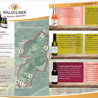 Flyer Waldulmer Weinwander-Rundweg