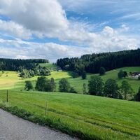Blick übers Fohrenbächle