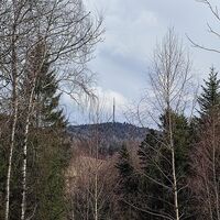 Blick vom Steinberg zum Brotjacklriegel