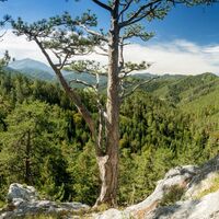 Magdalenengrotte Gutenstein