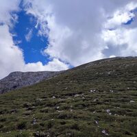 Grasrücken hinauf zum Sinabell