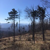 Blick nach Süden zum Schneeberg