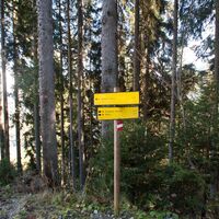 Wegkreuzung 61-773 am Forstweg