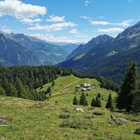 Selva - Cancian