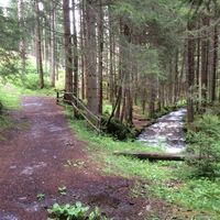 Klausbodenrunde weiter.JPG