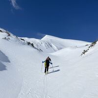 ... im Hintergrund der Siebenbrunner Kogel
