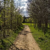 20250428_Leitenrundweg_3796.jpg