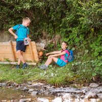 Der zerstreute Hirte