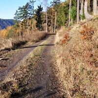 Weg zwischen Leutenberg und Hockeroda