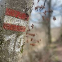 Auen-Trail - Steyr Unterhimmler Au