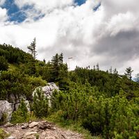 Weg zum Wallberg