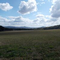 Blick auf den Thüringer Wald