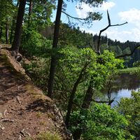 Urwaldpfad Hirschberg