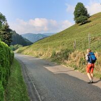 Durch den Kleinen Feistritzgraben führt der Weg zuerst über eine Asphaltstraße
