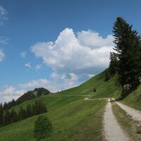 Nach der Alp Oberwirtneren - Rundwanderung Gürbequelle