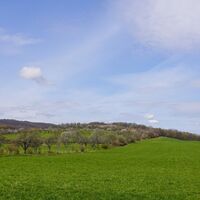 Obstplantagen auf dem Weg nach Stecklenberg
