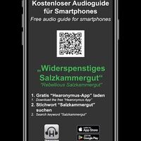 Widerspenstiges Salzkammergut - SCHILD IPHONE X-1-dunkel_100.jpg