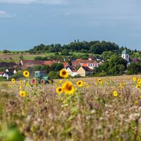Blick auf Medelsheim