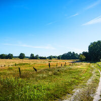 Die Westermoorer Dünen am NORDPFAD Wümmeniederung