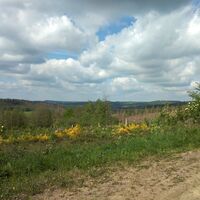 Blick ins Wildenburger Land