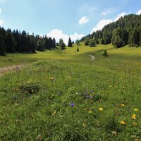 Himmelreich am Kienberg