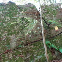 Jungfernstein