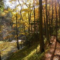 Wasserweg Höllental